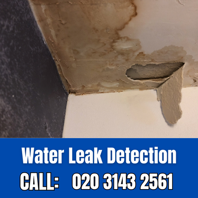 Expert Water Leak Detection Services in Clapton | Clapton Leak Detection